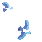 shape-img